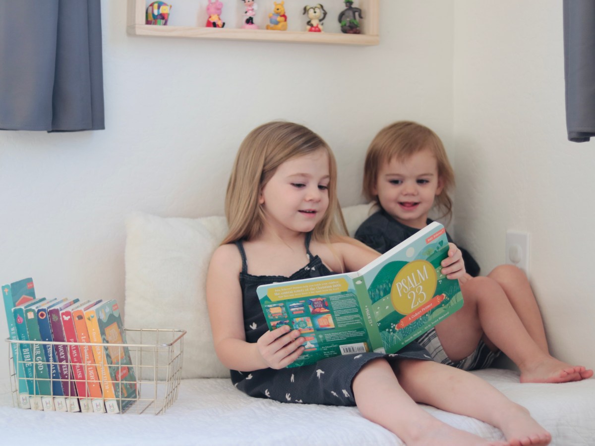 Book Review | Psalm 23: A Colors&nbsp;Primer